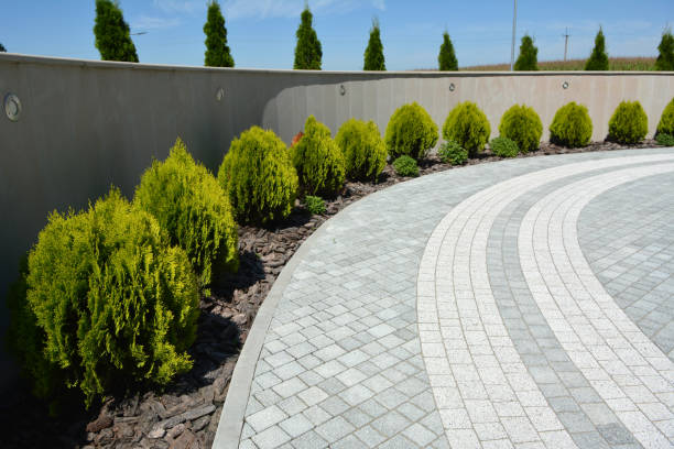 Professional Driveway Pavers in Twin Lakes, CA